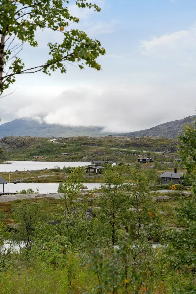 Pettersenvatnet 4 — bilde 13
