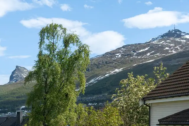 Utsikt fra stue.