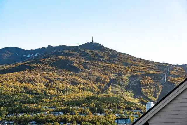 Utsikt fra veranda